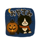 ハチワレ猫のハロウィンスタンプ（個別スタンプ：20）