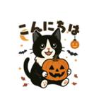 ハチワレ猫のハロウィンスタンプ（個別スタンプ：21）