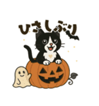 ハチワレ猫のハロウィンスタンプ（個別スタンプ：23）