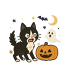 ハチワレ猫のハロウィンスタンプ（個別スタンプ：24）
