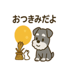 秋のミニチュアシュナウザー（個別スタンプ：5）