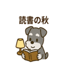秋のミニチュアシュナウザー（個別スタンプ：6）