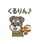 秋のミニチュアシュナウザー（個別スタンプ：9）