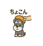 秋のミニチュアシュナウザー（個別スタンプ：10）