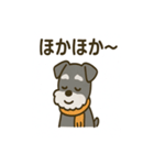 秋のミニチュアシュナウザー（個別スタンプ：11）