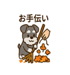 秋のミニチュアシュナウザー（個別スタンプ：12）