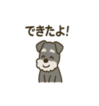 秋のミニチュアシュナウザー（個別スタンプ：13）