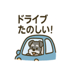 秋のミニチュアシュナウザー（個別スタンプ：14）
