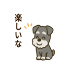 秋のミニチュアシュナウザー（個別スタンプ：17）