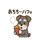 秋のミニチュアシュナウザー（個別スタンプ：20）