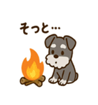 秋のミニチュアシュナウザー（個別スタンプ：21）