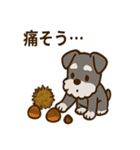 秋のミニチュアシュナウザー（個別スタンプ：22）