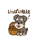 秋のミニチュアシュナウザー（個別スタンプ：23）