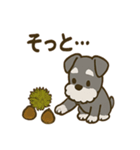 秋のミニチュアシュナウザー（個別スタンプ：24）