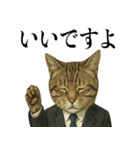 ビジネス猫の敬語スタンプ（個別スタンプ：1）