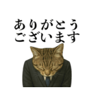 ビジネス猫の敬語スタンプ（個別スタンプ：3）