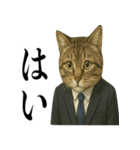 ビジネス猫の敬語スタンプ（個別スタンプ：5）