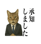 ビジネス猫の敬語スタンプ（個別スタンプ：7）