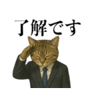 ビジネス猫の敬語スタンプ（個別スタンプ：10）