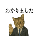 ビジネス猫の敬語スタンプ（個別スタンプ：11）