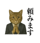 ビジネス猫の敬語スタンプ（個別スタンプ：12）