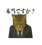 ビジネス猫の敬語スタンプ（個別スタンプ：14）