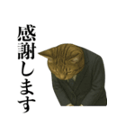 ビジネス猫の敬語スタンプ（個別スタンプ：15）