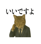 ビジネス猫の敬語スタンプ（個別スタンプ：21）
