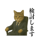 ビジネス猫の敬語スタンプ（個別スタンプ：24）