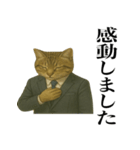 ビジネス猫の敬語スタンプ（個別スタンプ：34）