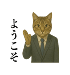 ビジネス猫の敬語スタンプ（個別スタンプ：36）