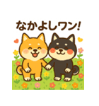 柴犬ワンワンStampシリーズno.2/2025（個別スタンプ：6）