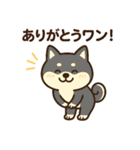 柴犬ワンワンStampシリーズno.2/2025（個別スタンプ：8）