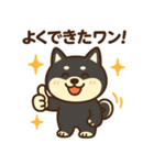 柴犬ワンワンStampシリーズno.2/2025（個別スタンプ：9）