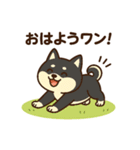 柴犬ワンワンStampシリーズno.2/2025（個別スタンプ：12）