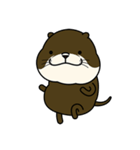 かわいい カワウソさん（個別スタンプ：1）