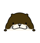 かわいい カワウソさん（個別スタンプ：11）