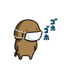 こいぬとステータス異常（個別スタンプ：5）