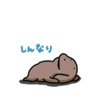 こいぬとステータス異常（個別スタンプ：11）