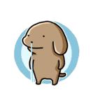 こいぬとステータス異常（個別スタンプ：24）