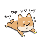やる気のない〇しばいぬ（個別スタンプ：6）