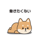 やる気のない〇しばいぬ（個別スタンプ：7）