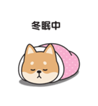 やる気のない〇しばいぬ（個別スタンプ：11）
