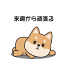 やる気のない〇しばいぬ（個別スタンプ：13）