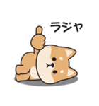 やる気のない〇しばいぬ（個別スタンプ：18）