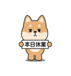 やる気のない〇しばいぬ（個別スタンプ：24）