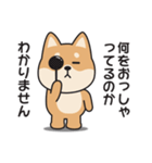 やる気のない〇しばいぬ（個別スタンプ：35）