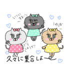 猫のクッキーちゃんの日常スタンプ♡（個別スタンプ：37）