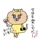 猫のクッキーちゃんの日常スタンプ♡（個別スタンプ：38）