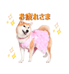 どらやきちゃんの可愛いスタンプです！（個別スタンプ：1）